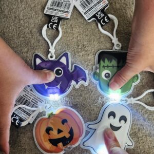 Torch light clip