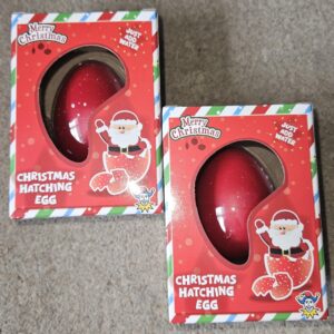 Santa egg