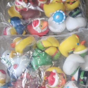 Christmas ducks