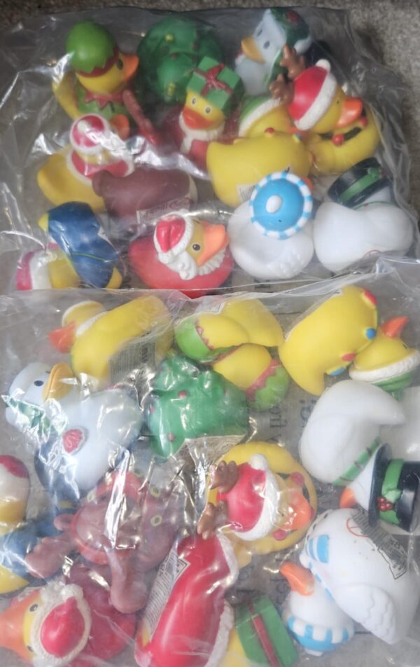 Christmas ducks