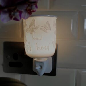 Special friend mini warmer