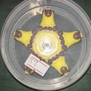 Yellow capybara spinners